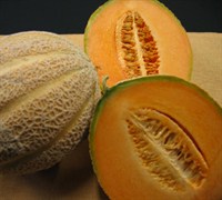 Ambrosia Cantaloupe